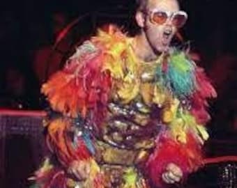Elton John Inspired multicolor feather sleeves carnival costume the Muppet Show 1970's