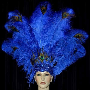 Bandeau à Plumes Colorées Fascinateur Coiffe de Carnaval Serre-Têtes  Arc-en-Ciel Cerceau Cheveux Serre-tête Vintage Classique Cosplay Costume  pour