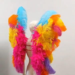 Multicolor feather Wings carnival samba pageant hora loca cosplay Ostrich feathers backpiece