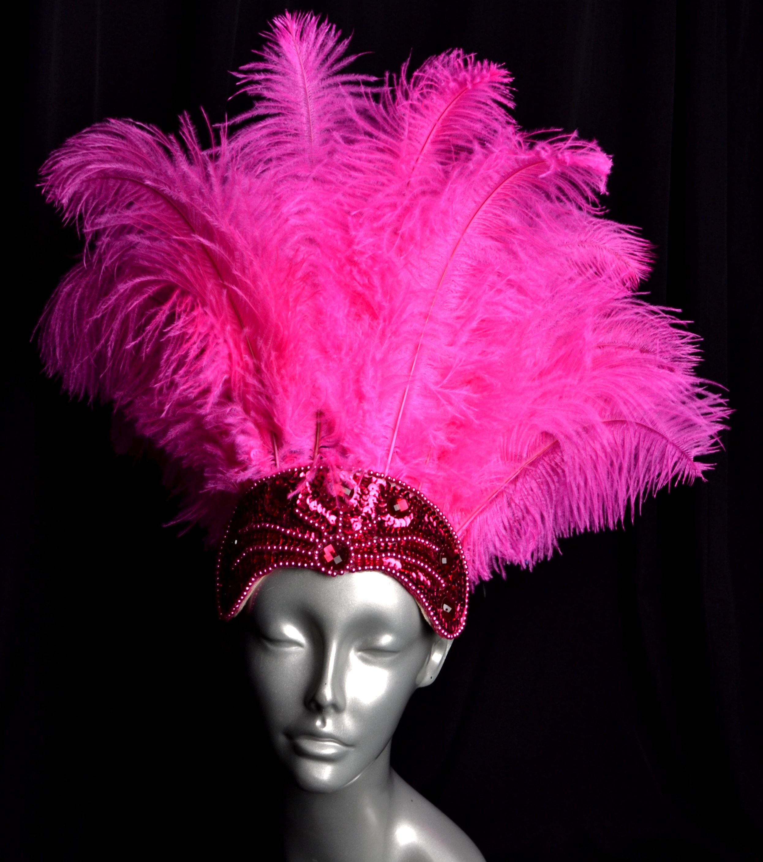 Hot Pink Fuchsia Carnival Feather 