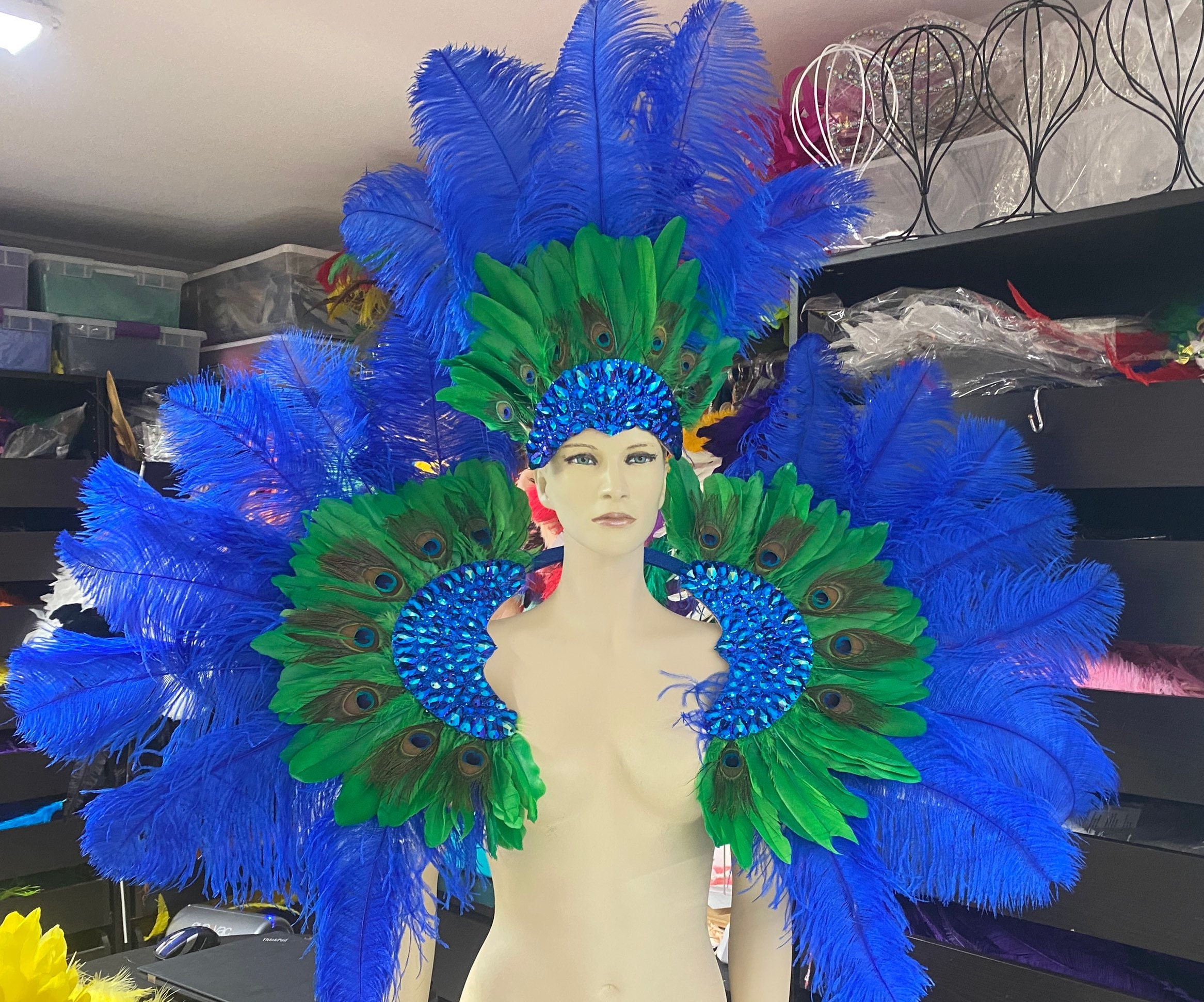 Ultimate Sequin, Crystal, and Glass Fringe Beaded Mardi Gras Feather  Burlesque Costume. 