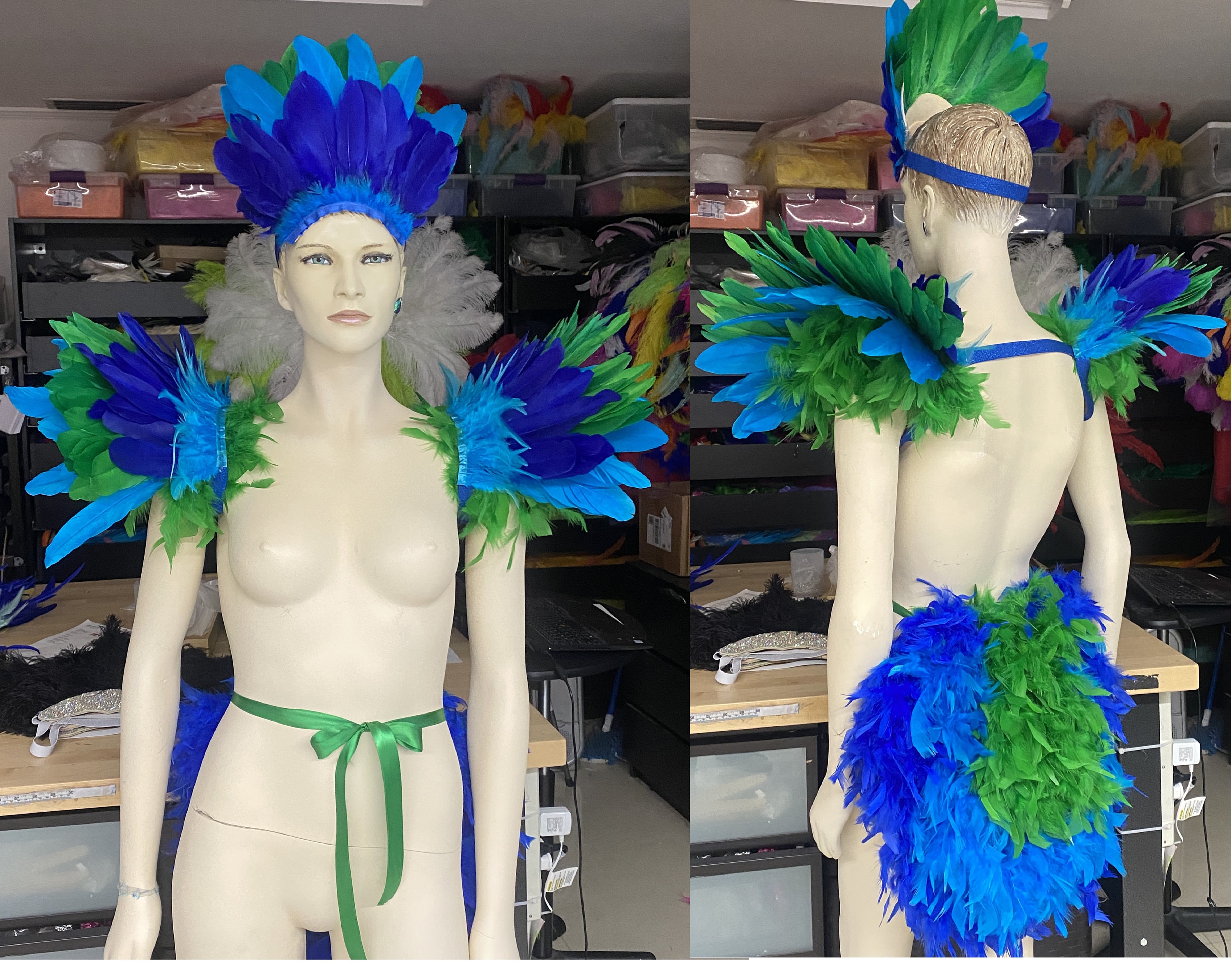 Parrot Dress, Iago Costume, Parrot Costume, Bird Costume, Parrot Tutu,  Macaw Costume, Red Feather Skirt, Mardi Gras Pageant Dress 