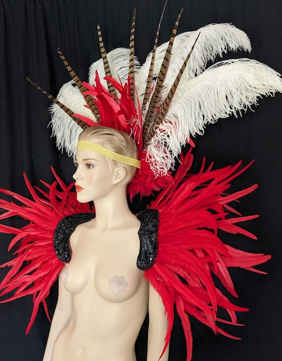 Disfraz de carnaval de pavo real, disfraz de samba con plumas, alas de  ángel, Fantasy Fest, conjunto de corista de carnaval, Hora Loca -   México