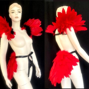 Cardinal Bird costume tail and wings epaulet Lago Aladin red angry birds