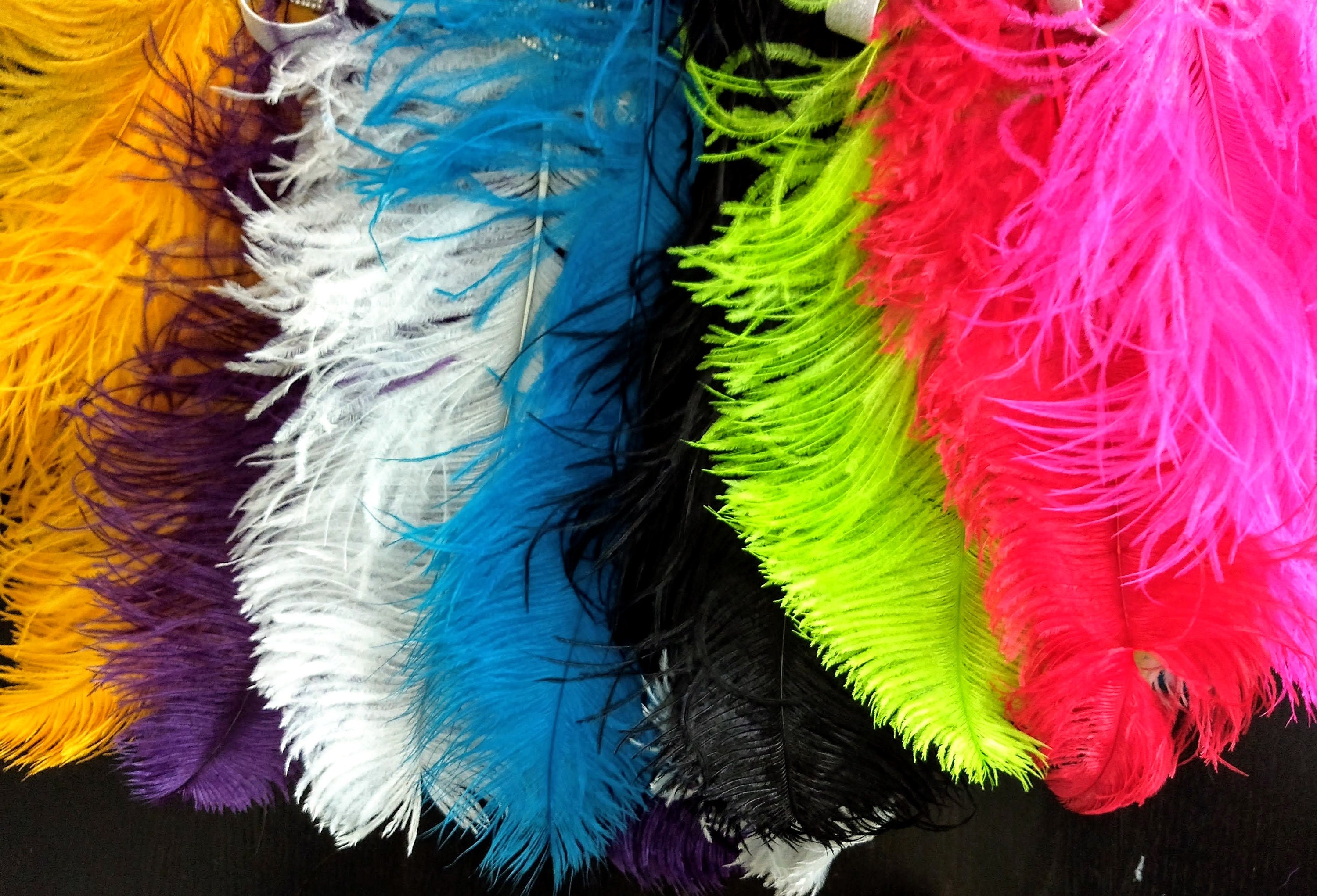 Coiffe de carnaval en plumes d'autruche Prime Showgirl Rainbow Pride -   France