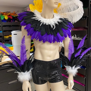 Male Samba Costume Set Feather Piece Parade Feather Fantasy Fest ...