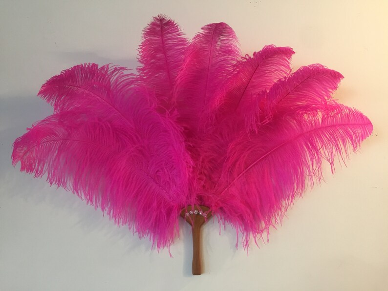 Feather FAN Handmade Ostrich Feather Dance Fan Vintage Design | Etsy
