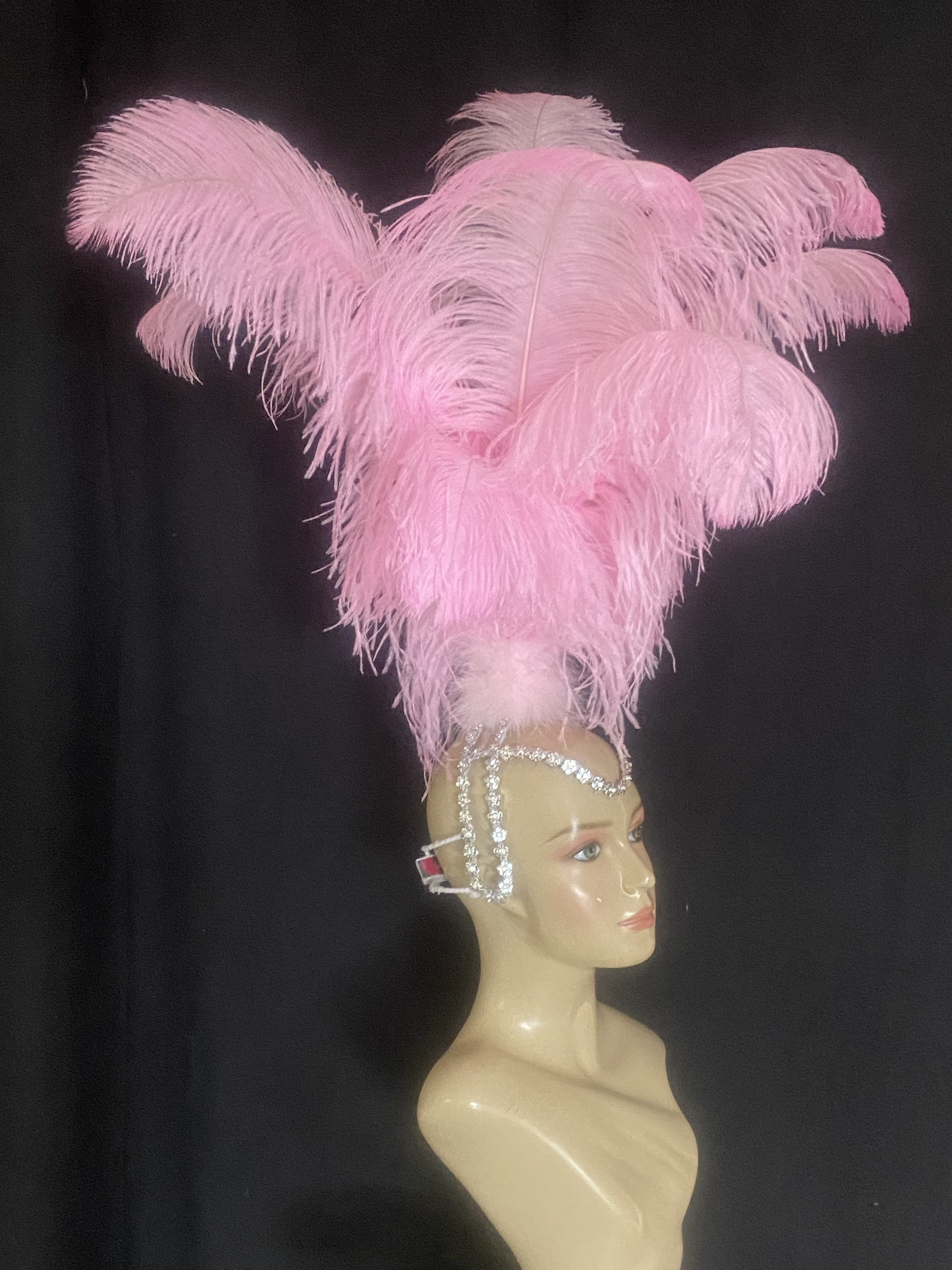 Samba Headpiece Feather Piece Fantasy Fest Carnival Showgirl Headpiece ...