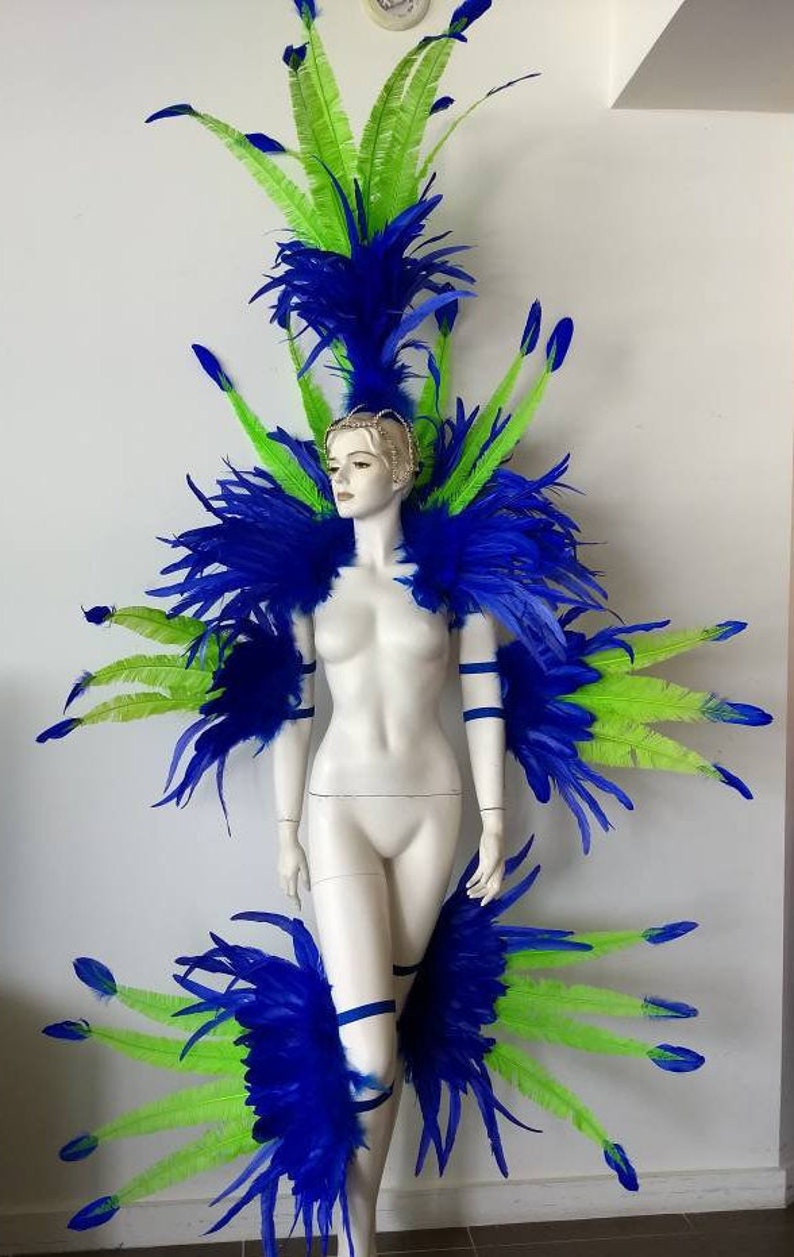 May include: A blue and green feather costume with a headpiece, shoulder pieces, and leg pieces. The costume is made of feathers and is designed for a performance or party.