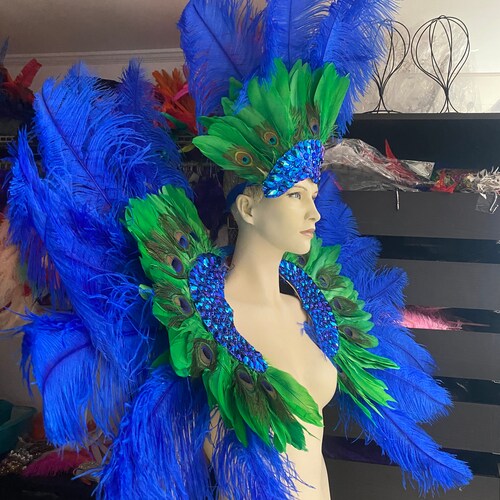 carnival costume feathers