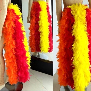 Fire Colors Phoenix long feather tail bustle carnival samba pageant hora loca red orange and yellow boas