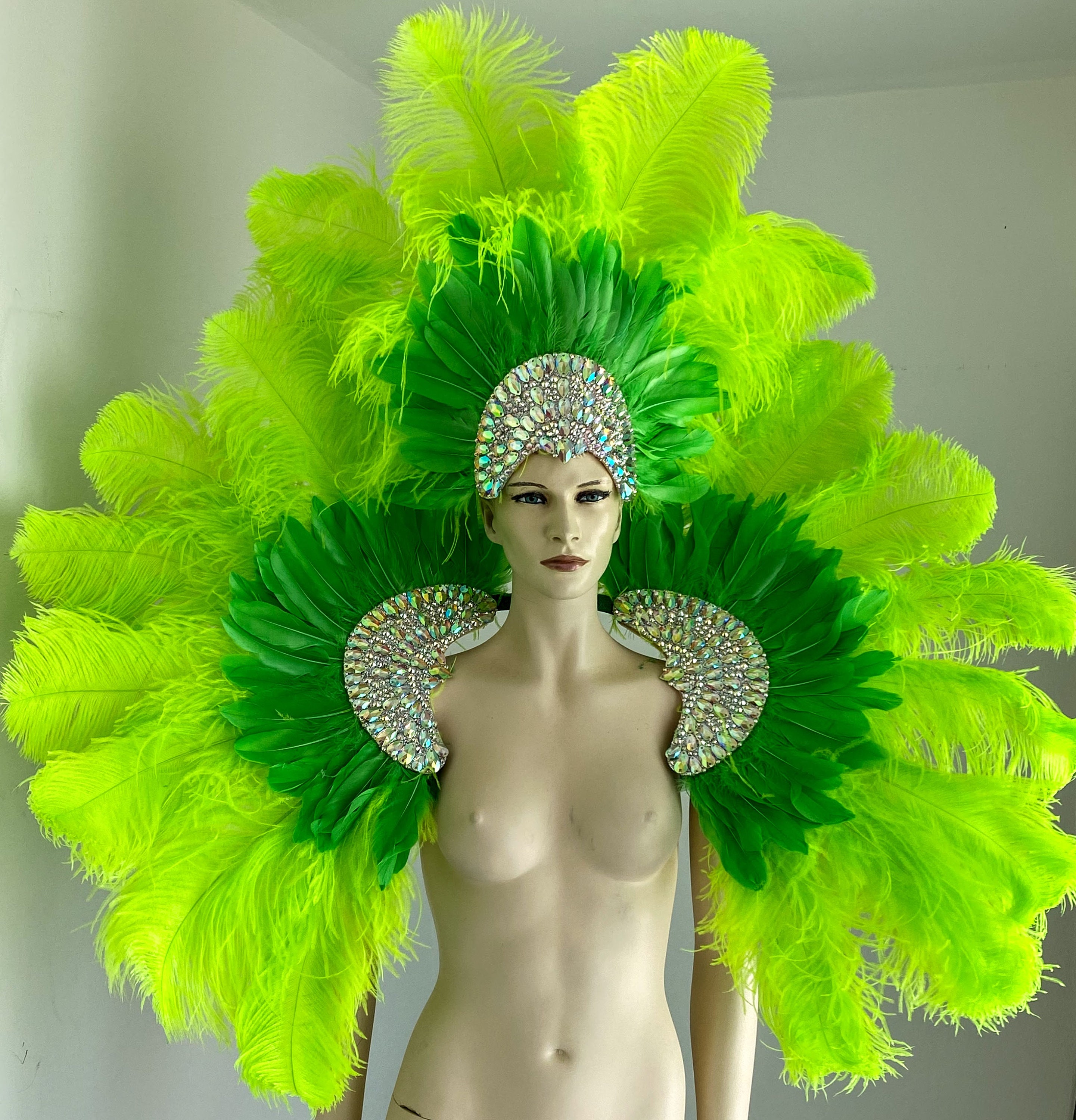 Disfraz de Carnaval con plumas y diamantes de imitación, disfraz
