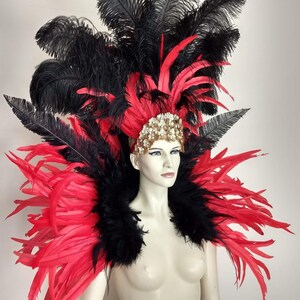 Red and Black Feather Collar Piece and Ostrich Feather Headpiece ...