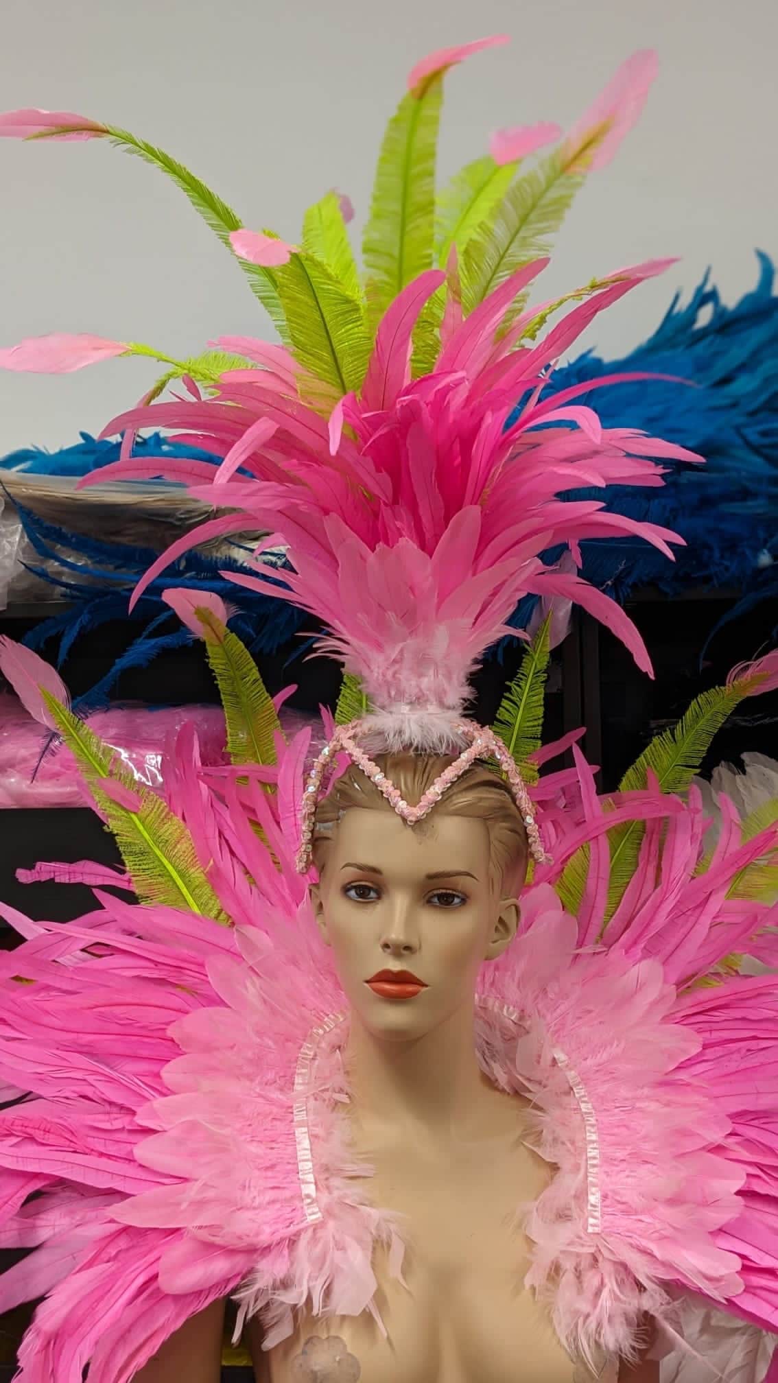 Samba Costume Feather Piece Angel Wings Feather Fantasy Fest Carnival ...