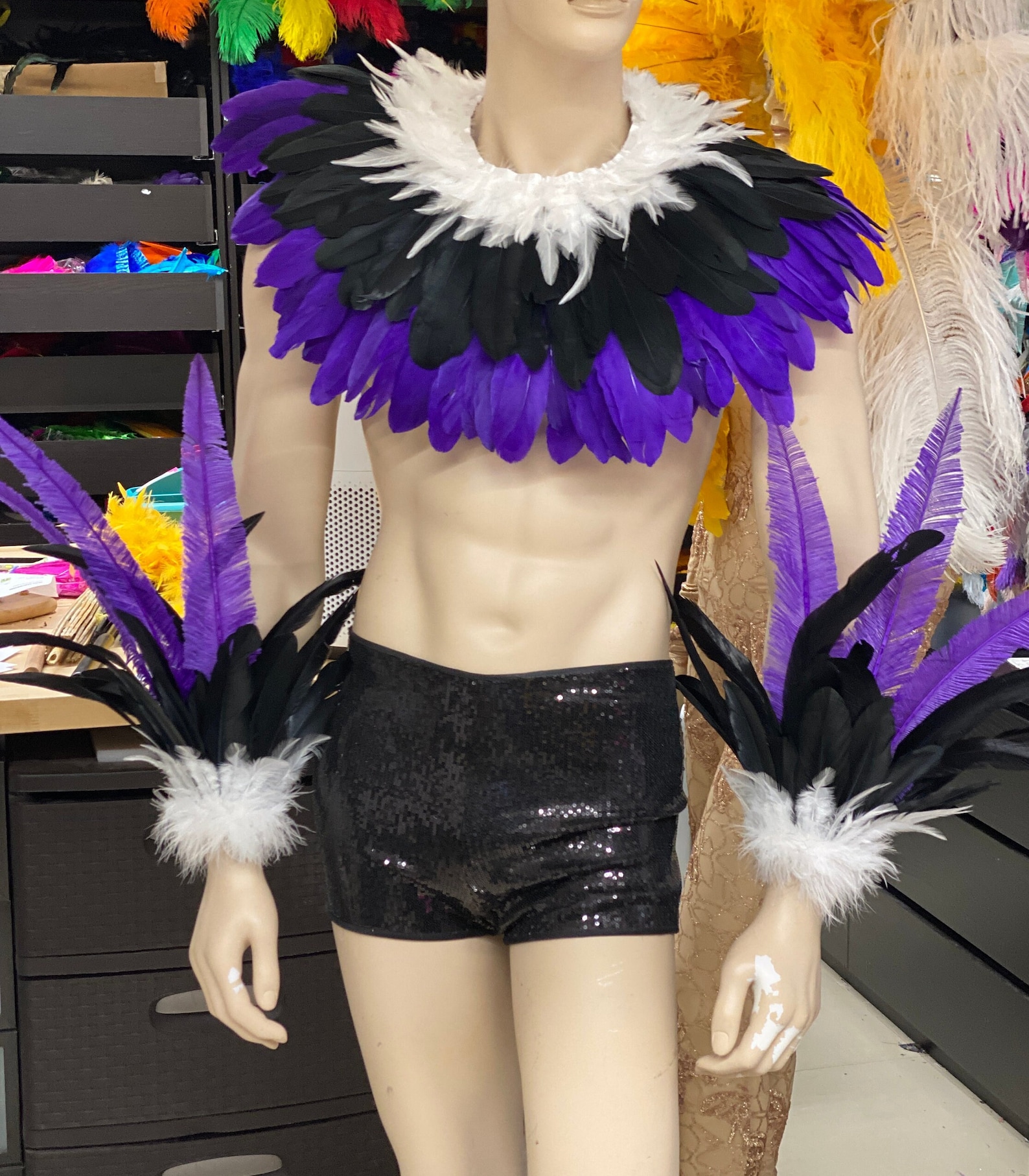 Male Samba Costume Set Feather Piece Parade Feather Fantasy Fest ...