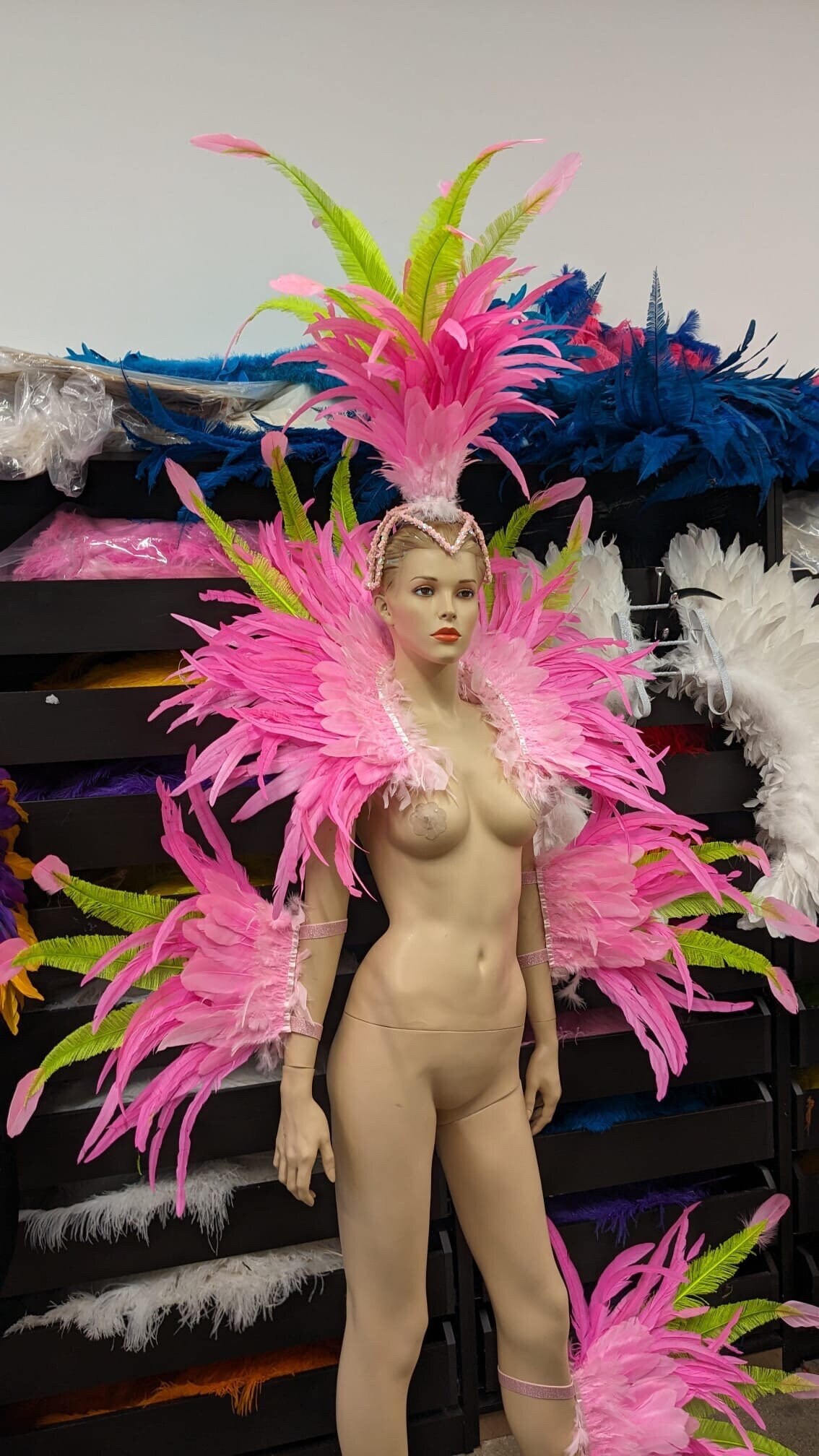 Carnival Costume Feathers Rhinestone Samba Costume Angel Wings