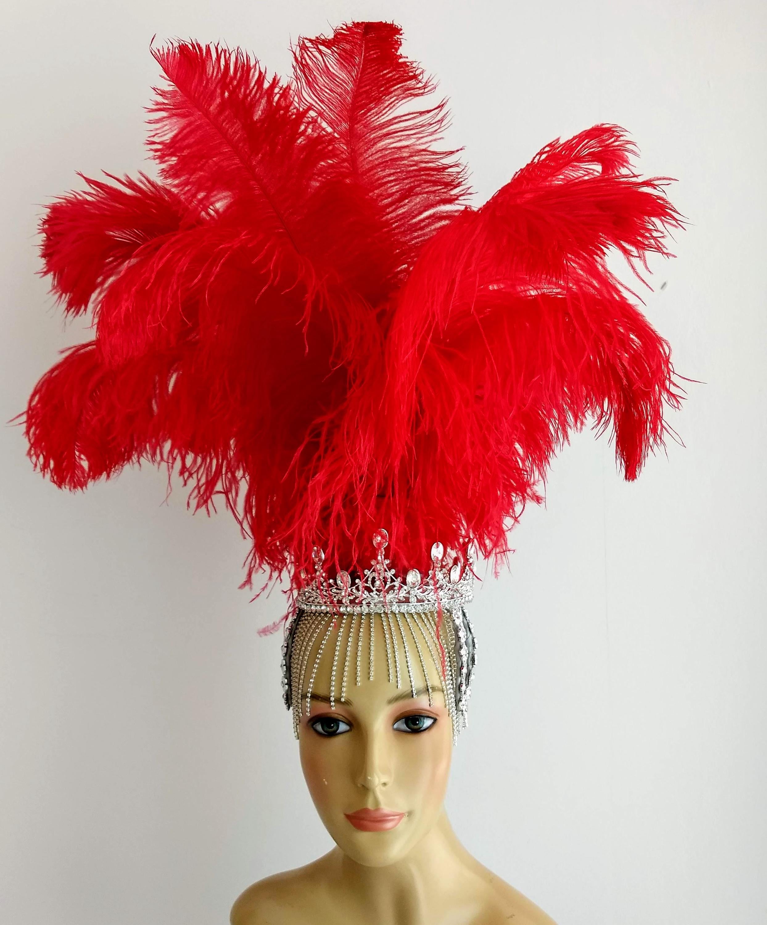 Barbarella Feathered Headpiece Amazon.com: BABEYOND Carnival Feather Headpiece Showgirl  main image 4