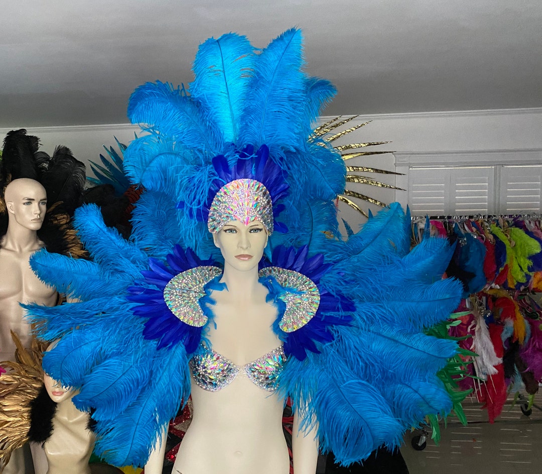 Costume di Carnevale piume strass Samba Costume Ali d'Angelo