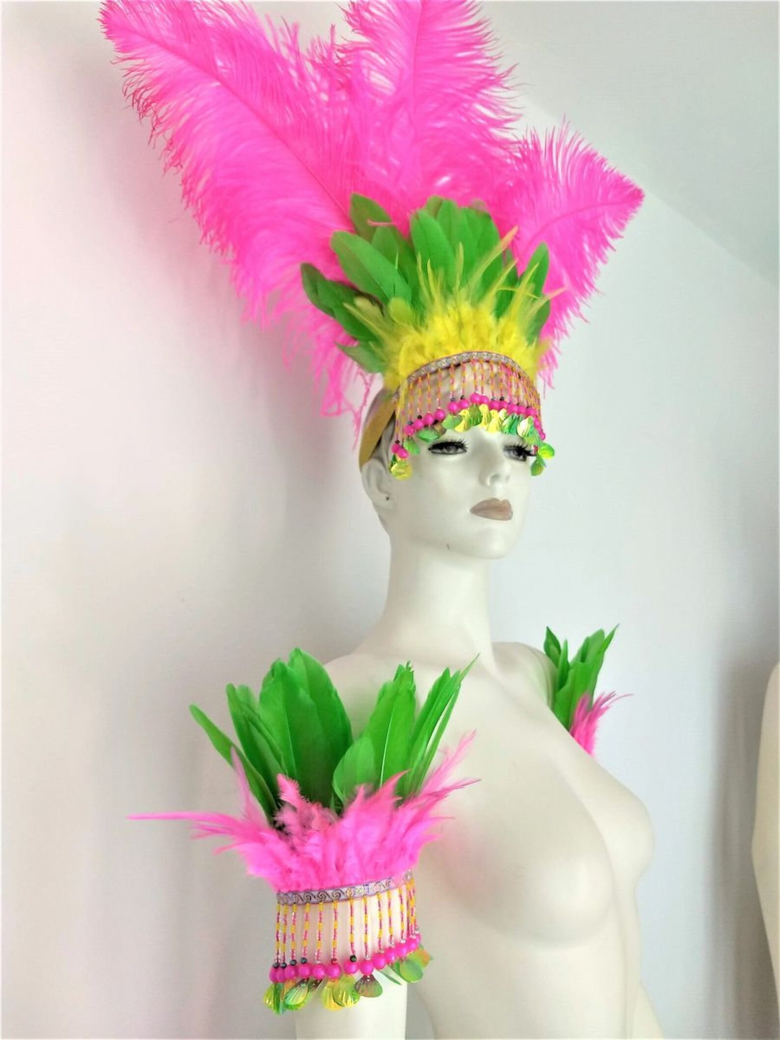 Carnival Samba Costume Headdress With Arm Bands With a Colorful Fringe ...