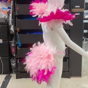 May include: A pink and fuchsia feather costume with a large pink and fuchsia feather boa attached to the back. The costume is on a white mannequin.