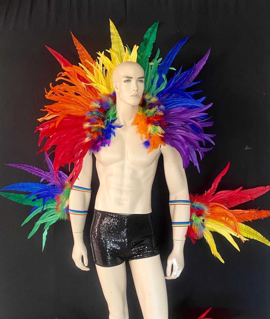 Samba Costume Set Feather Collar Fantasy Fest Carnival Showgirl Set WFF ...