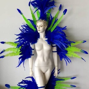 May include: A blue and green feather costume with a headpiece, shoulder pieces, and leg pieces. The costume is made of feathers and is designed for a performance or party.