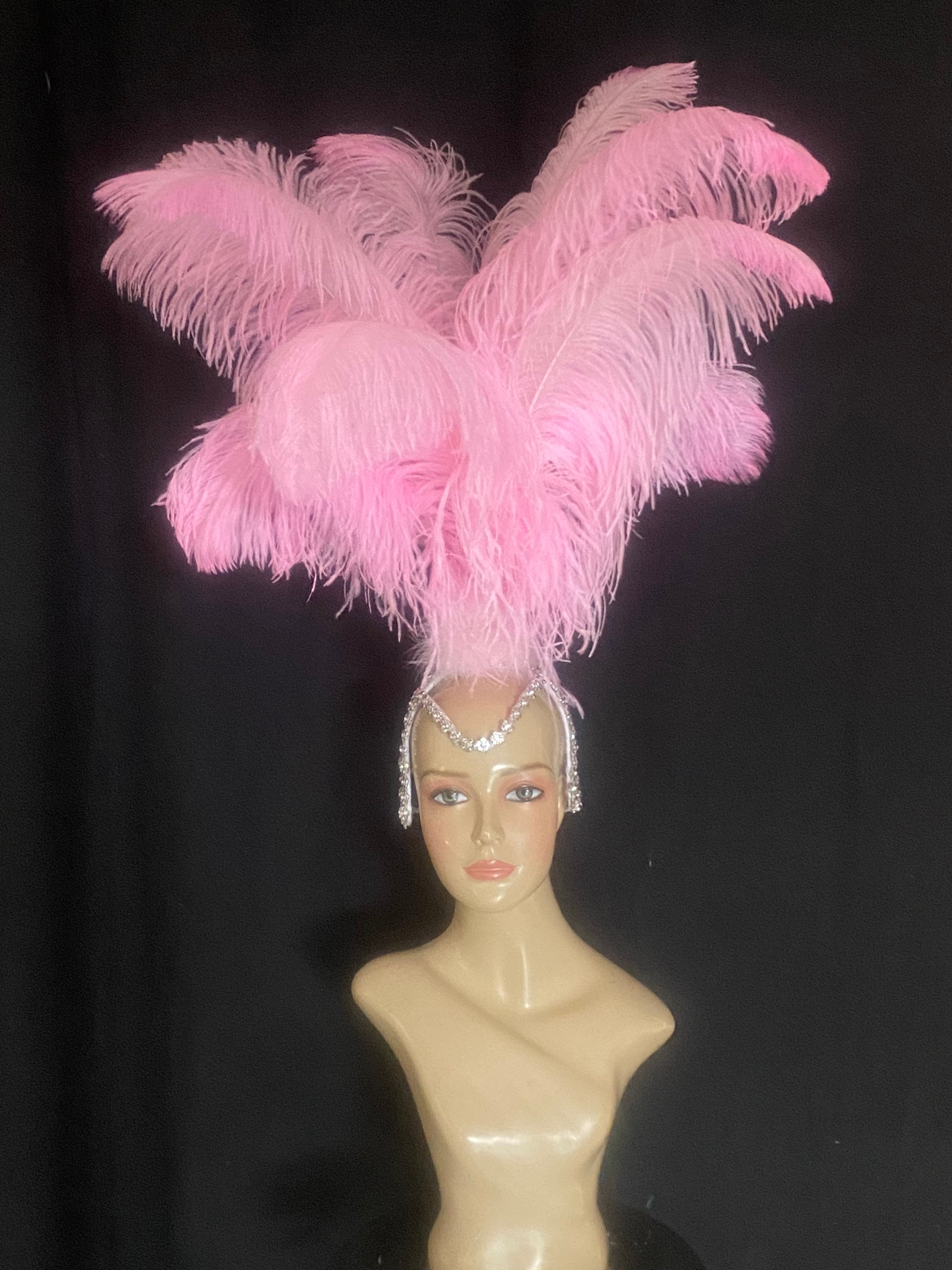 Samba Headpiece Feather Piece Fantasy Fest Carnival Showgirl Headpiece ...