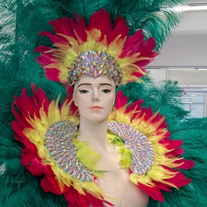 Carnival Costume feathers rhinestone Samba Costume Angel Wings Fantasy Fest Carnival Showgirl Set Hora Loca