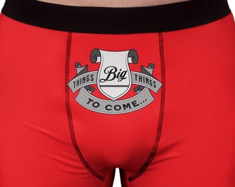 Big Things to Come Boxer Briefs: Funny Men's Underwear, Alpha Attitude