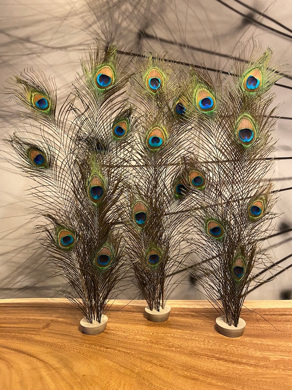 Decoración xl de plumas de pavo real -  México