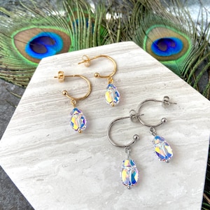 Stainless steel earrings with scarabee.