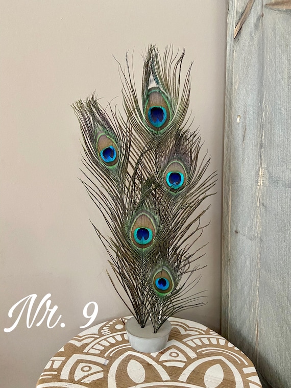 Peacock Feather Decoration  Jewelry Handicraft Accessories - 50