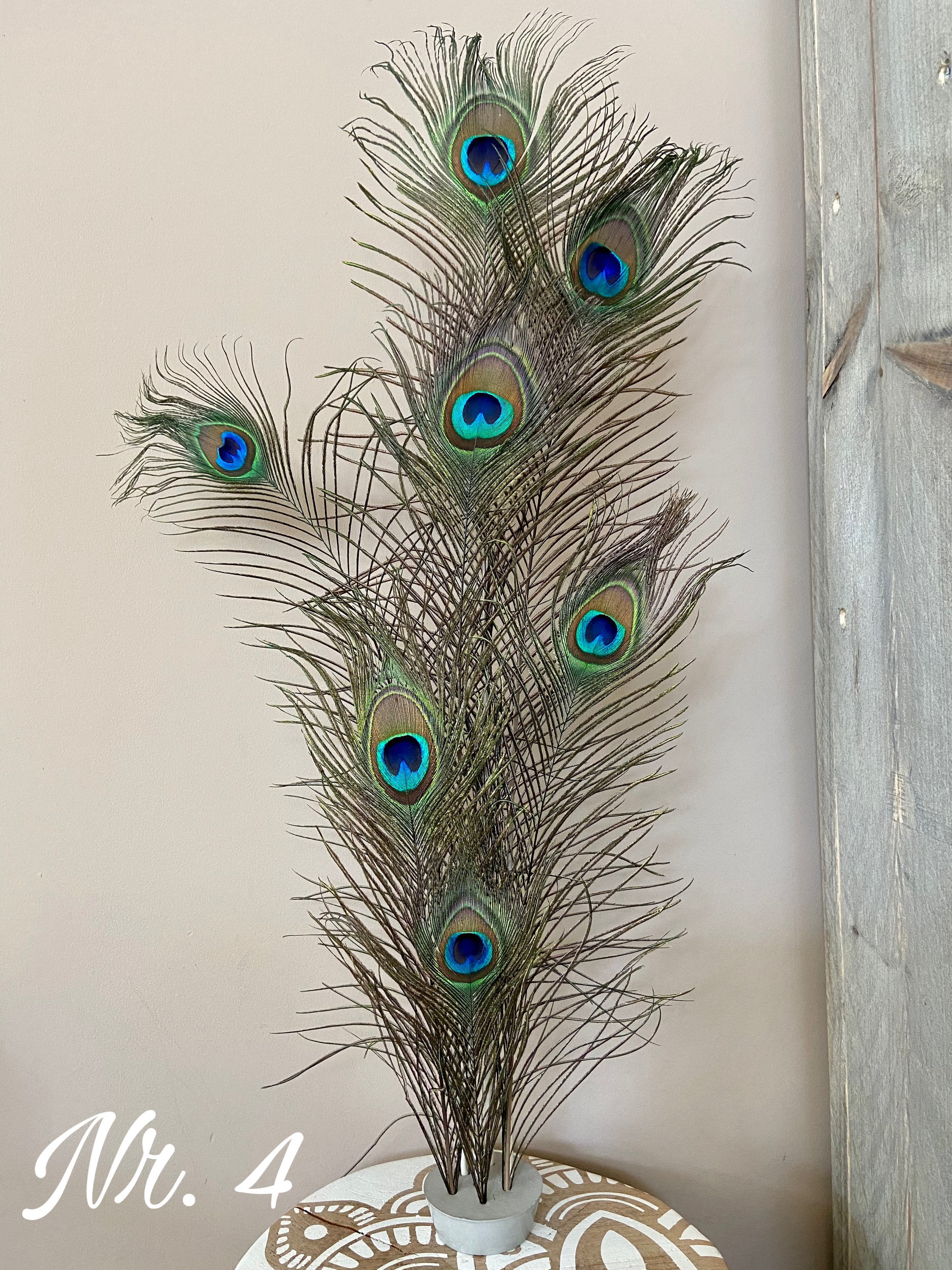 XL Peacock Feather Decoration 