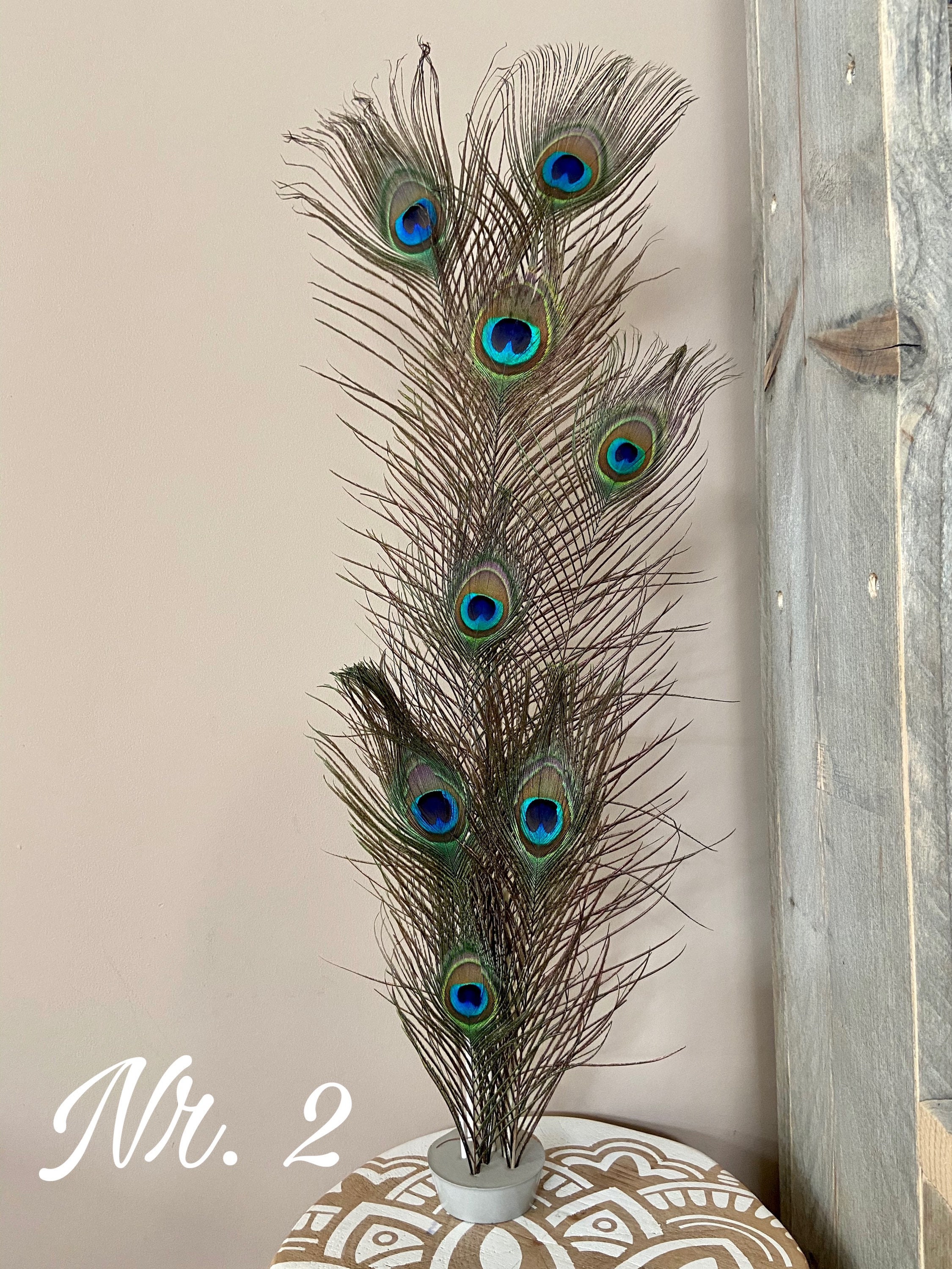 XL Peacock Feather Decoration 