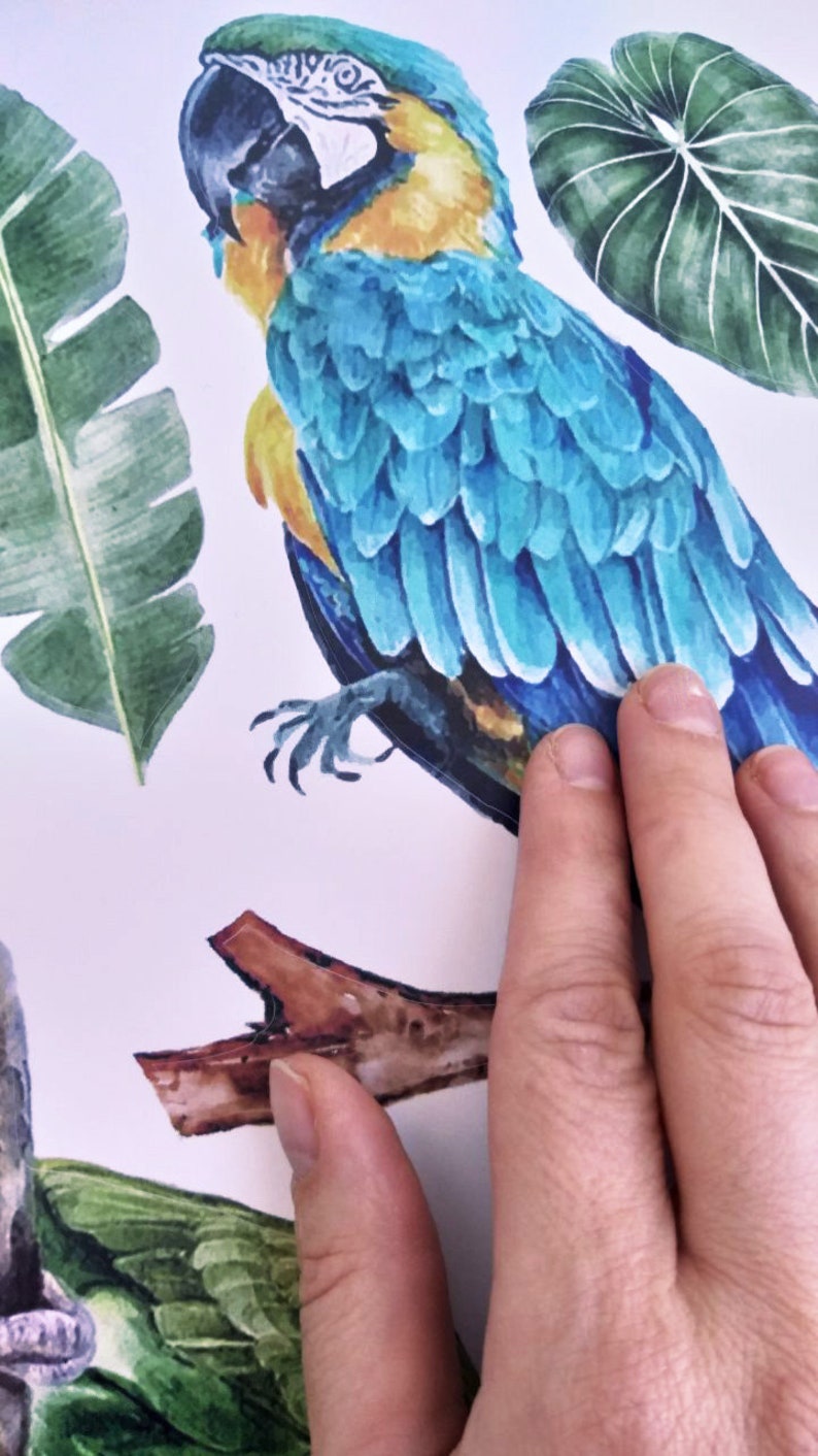 Parrot Wall Decal Jungle Wall Decal Jungle Birds Wall Etsy