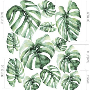May include: A set of 10 watercolour monstera leaf illustrations in shades of green. The leaves are various sizes and shapes, ranging from 23 to 51 cm in size.
