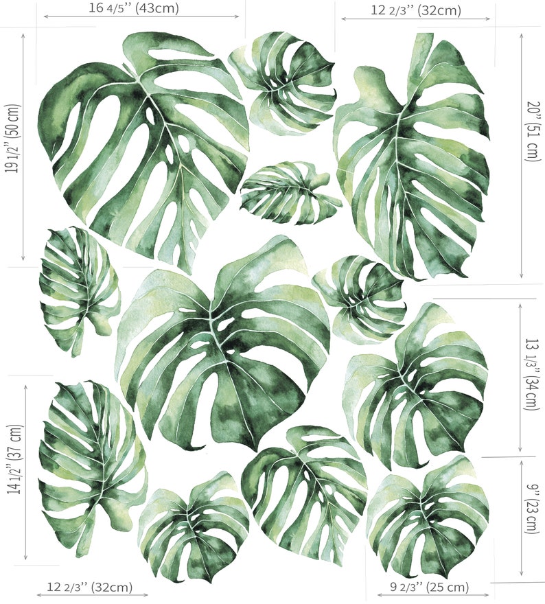 May include: A set of 10 watercolour monstera leaf illustrations in shades of green. The leaves are various sizes and shapes, ranging from 23 to 51 cm in size.