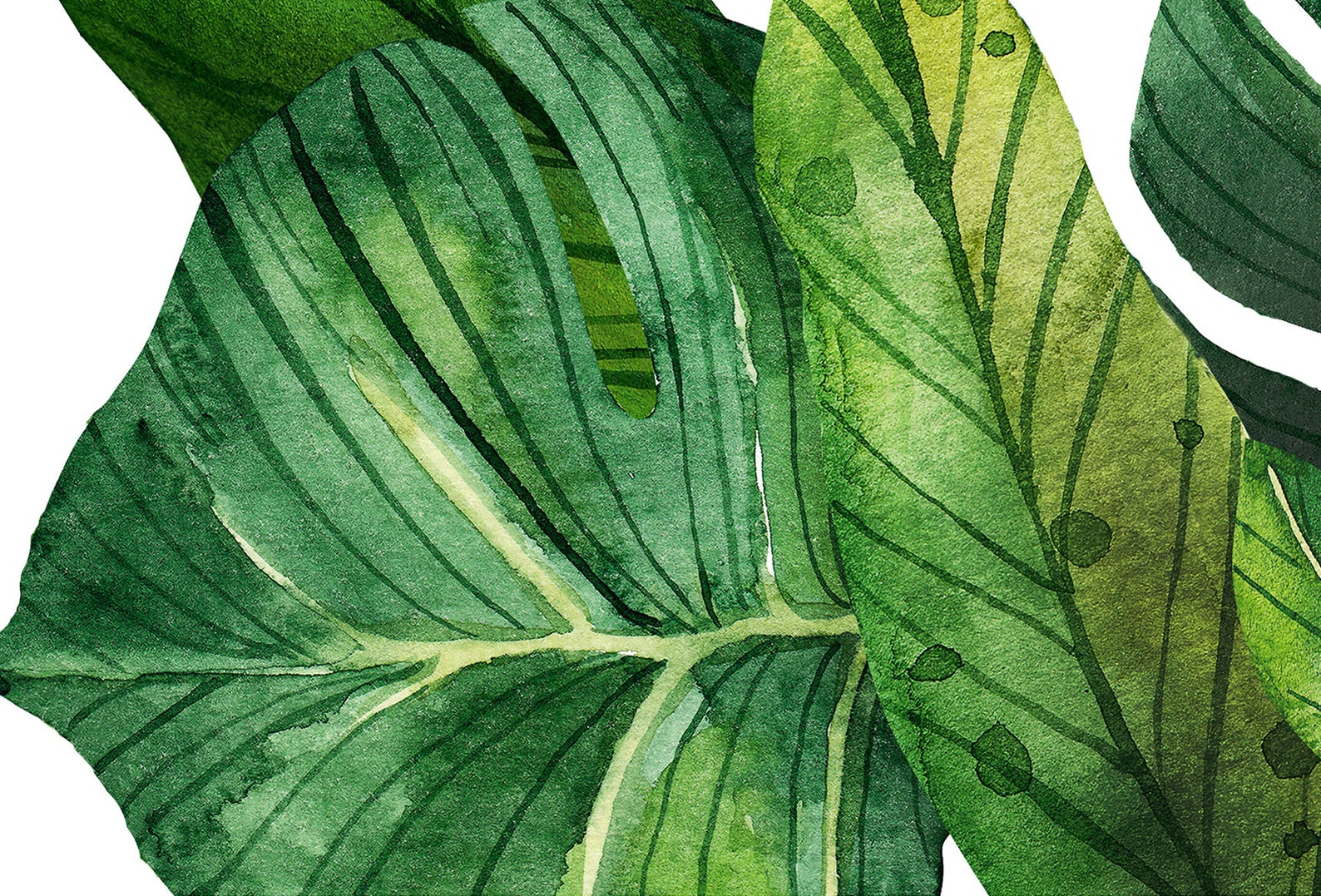 Jungle Theme Decor Jungle Leaves Decals Jungle Nursery Etsy