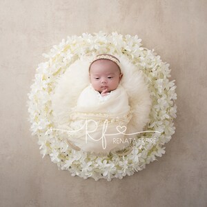 White Flower Wreath Digital Newborn Backdrop Background Prop