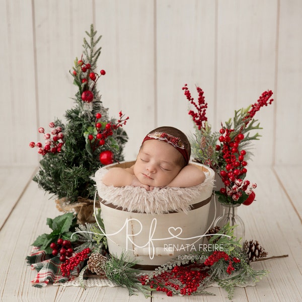 Christmas collection digital Newborn Backdrop/Background Prop bucket