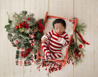Christmas collection digital Newborn Backdrop/Background Prop Sleigh