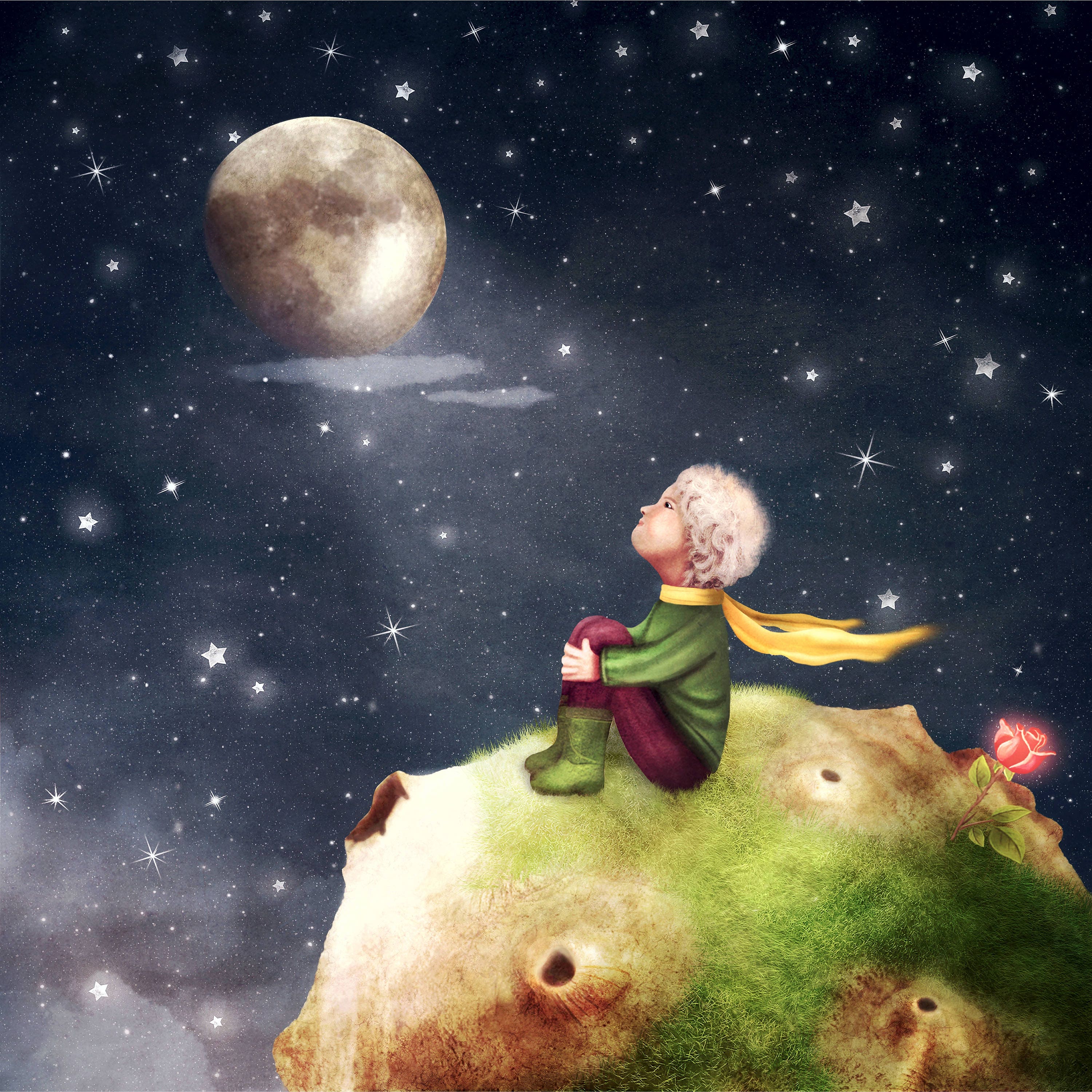 Petit Prince Le Petit Prince Little Prince Poster Little | Etsy