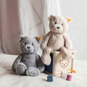 Personalisierter Teddybär Steiff Baby | Geschenk zur Geburt | Babyshower