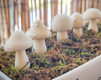 Shroomies Plant Decor | Mushroom Decor | 6 Pc SET | Plant Accessories | Plant Decor | Plant Stake | Fairy Garden | Terrarium Decor