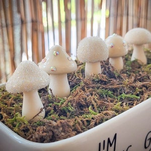 Shroomies Plant Decor | Mushroom Decor | 6 Pc SET | Plant Accessories | Plant Decor | Plant Stake | Fairy Garden | Terrarium Decor