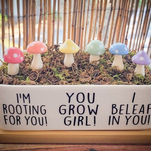 Shroomies Plant Decor | Pastel Rainbow Mushroom Decor | 6 Pc SET | Plant Accessories  | Plant Stakes | Fairy Garden | Terrarium Decor