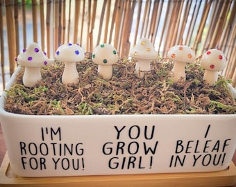 Shroomies Pflanzendekor | Regenbogen Pilz Dekor | 6 Stück SET | Pflanzenzubehör | Pflanzen Dekor | Pflanzenstecker | Feengarten | Terrarium Dekor
