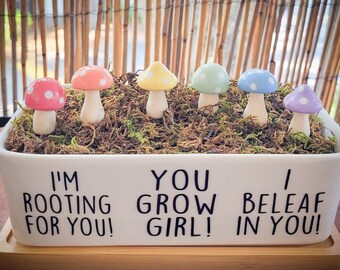 Shroomies Pflanzendekor | Pastell Regenbogen Pilz Dekor | 6 Stück SET | Pflanzenzubehör | Pflanzenstecker | Feengarten | Terrarium Dekor