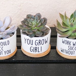 Funny Succulent Pot - Cactus Pot - Small Planter With Drainage ...