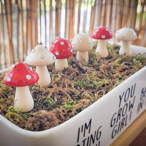 Shroomies Plant Decor | Red Mushroom Decor | 6 Pc SET | Plant Accessories | Plant Decor | Plant Stake | Fairy Garden | Terrarium Decor
